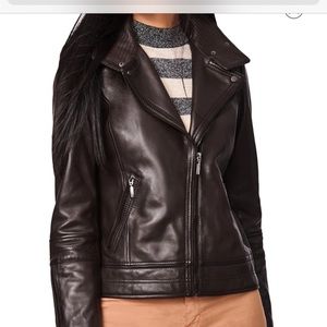 Bernardo Leather Moto Jacket (NEVER WORN - NWOT!)